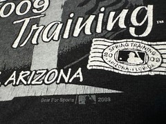 Vintage 2000s Y2K 2009 Chicago White Sox Spring Training MLB Baseball T-Shirt, L