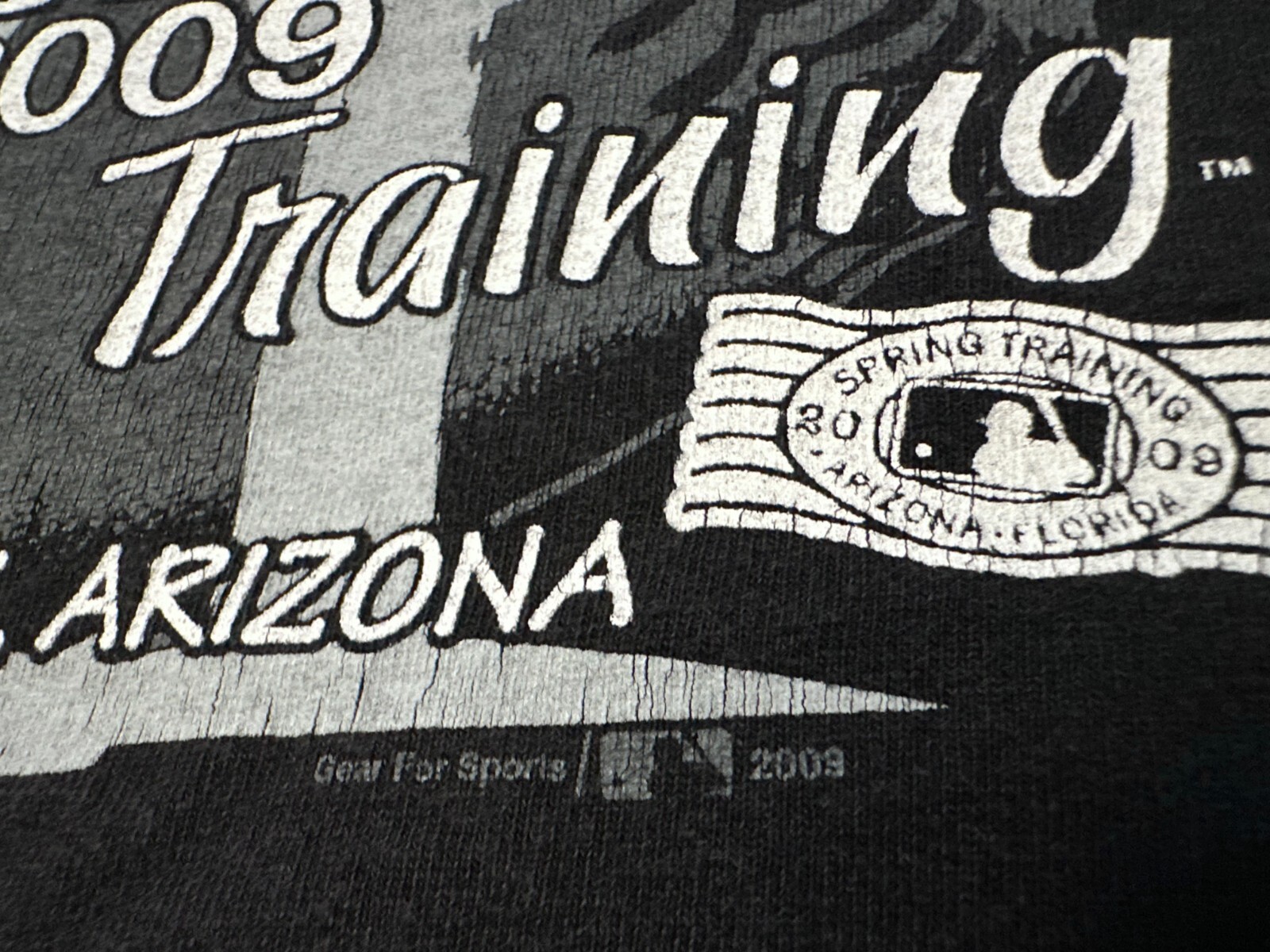 Vintage 2000s Y2K 2009 Chicago White Sox Spring Training MLB Baseball T-Shirt, L gallery