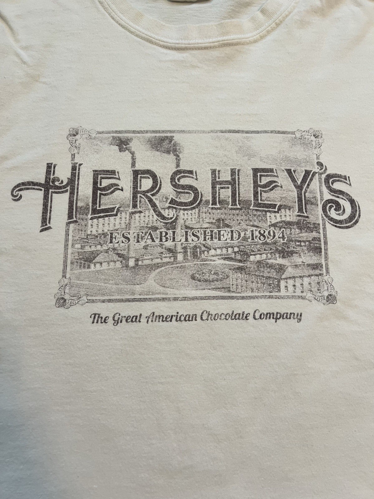 Vintage Hersheys Chocolate Graphic T-Shirt Men’s Size XL Comfort Colors gallery
