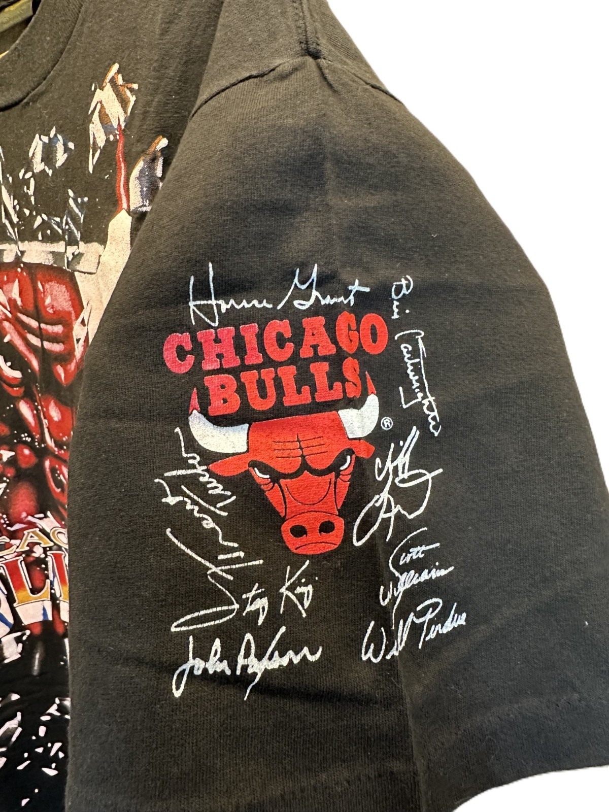 Vintage 90s Michael Jordan Bulls Shirt Lot Nutmeg Salem Starter Changes XL gallery