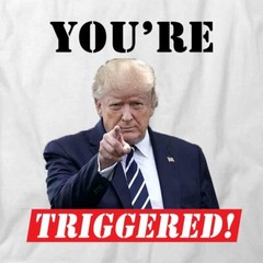 YOU’RE TRIGGERED TRUMP TShirt Tee Short-Sleeved Cotton CLOTHING S1WCA666