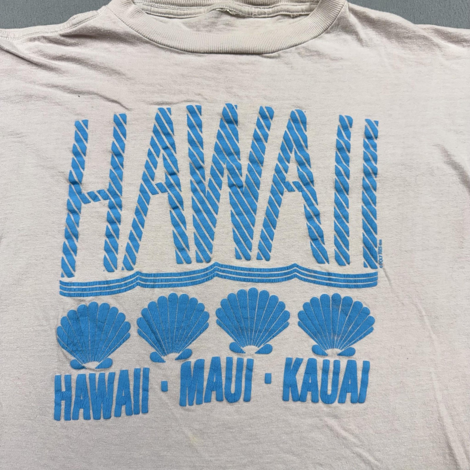 Vintage Poly Tees Shirt Mens Large White Hawaii Maui Kauai Graphic 1988 Beach gallery