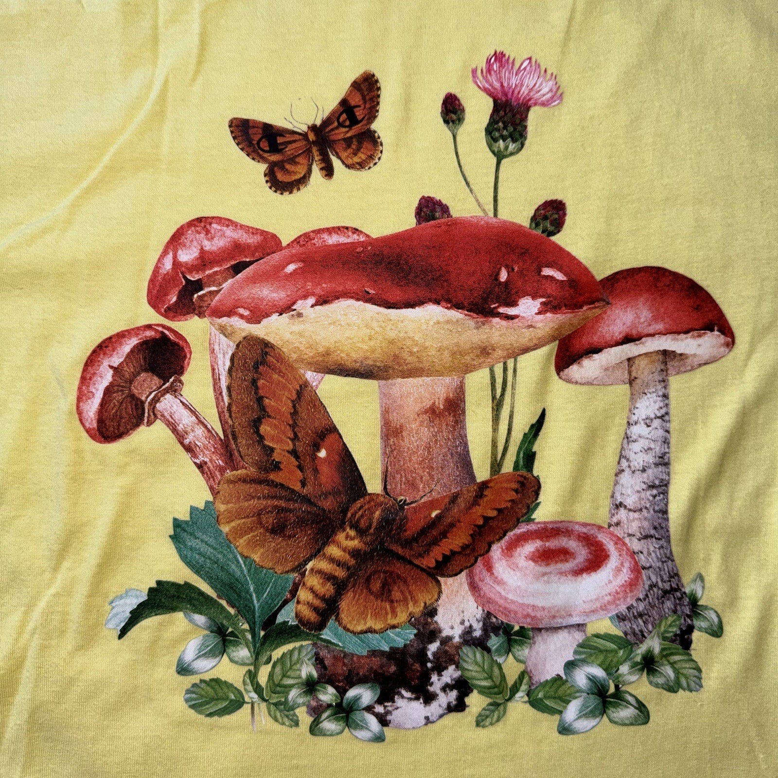 Champion Mushroom Forager Cadmium Heritage T-Shirt Yellow C22016-001 Men’s NWT
