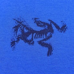 Arc’teryx Kragg SL Cotton Bird Tile LS Shirt Mens Medium Blue Long Sleeve Tee