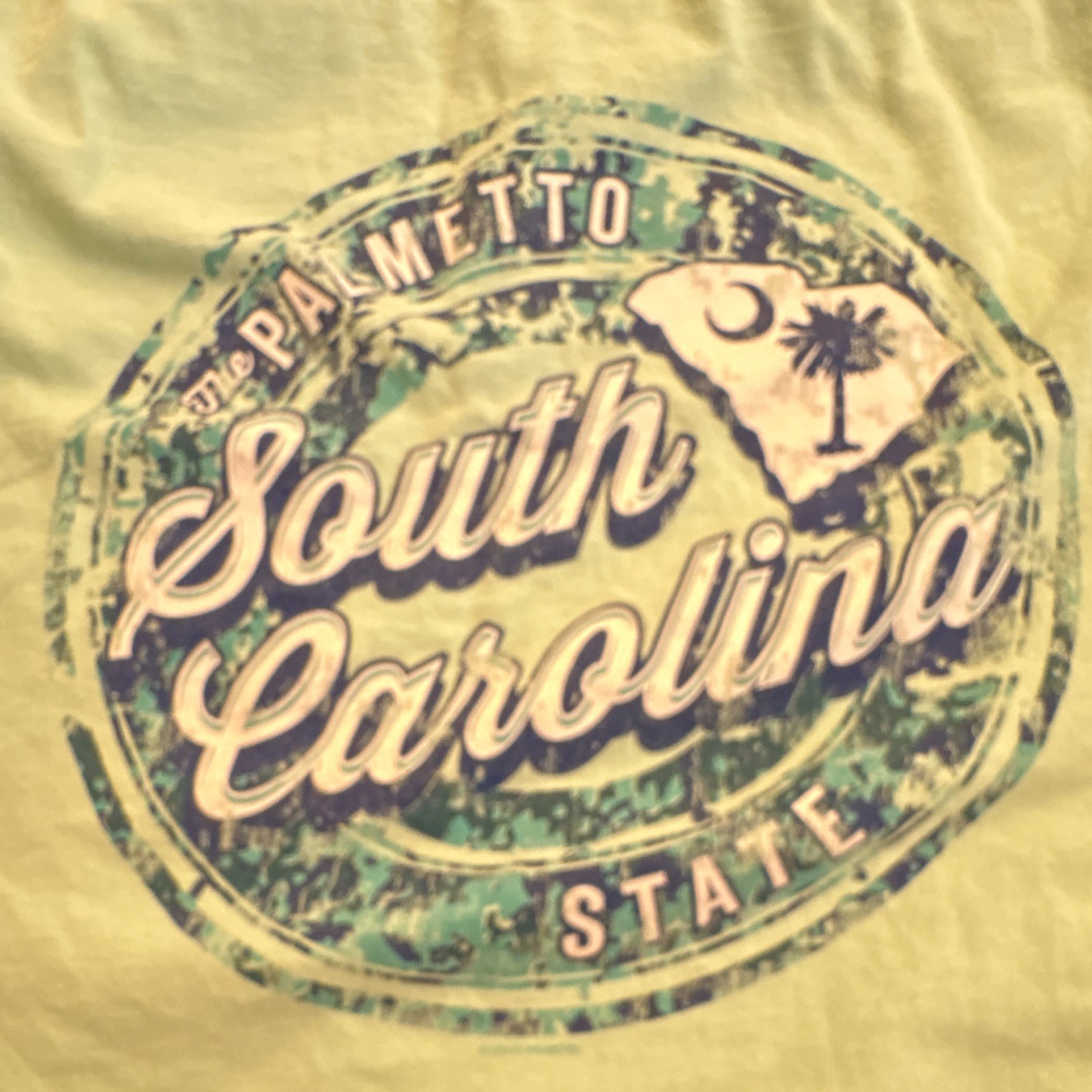 Gildan Cotton Men's L Mint Green South Carolina Palmetto Graphic Tee Crew Neck gallery