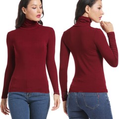 Womens Basic Lightweight Turtleneck Long Sleeve Pullover Solid Top High Neck US