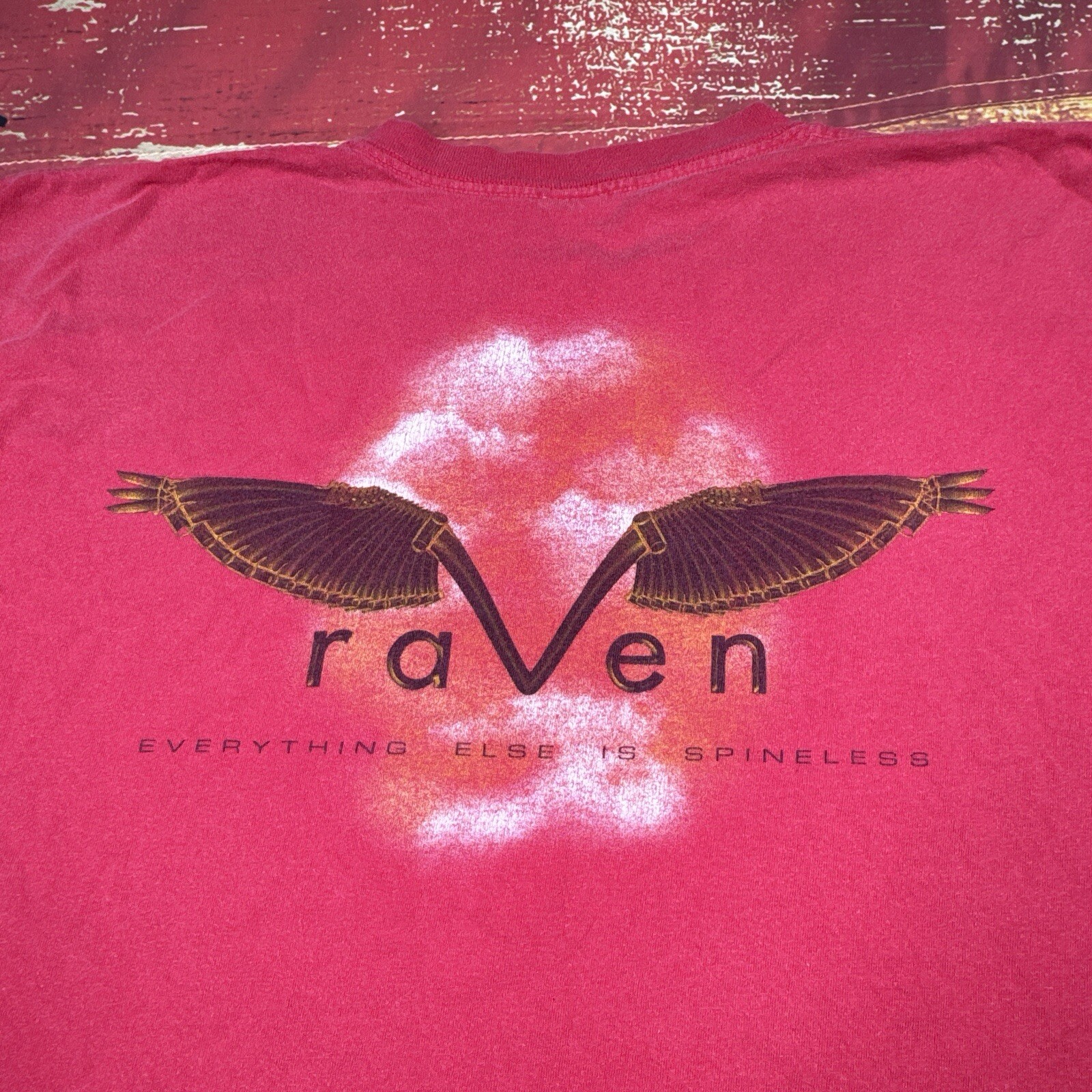 VTG 90’s Cannondale Shirt RAVEN Super V Mens 2XL Mountain Bike Promo Faded MTB gallery
