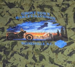 RARE Harley Davidson GHOST TOWN Men’s L (No Tag) Green Crinkle Dye Y2K NC Eagle