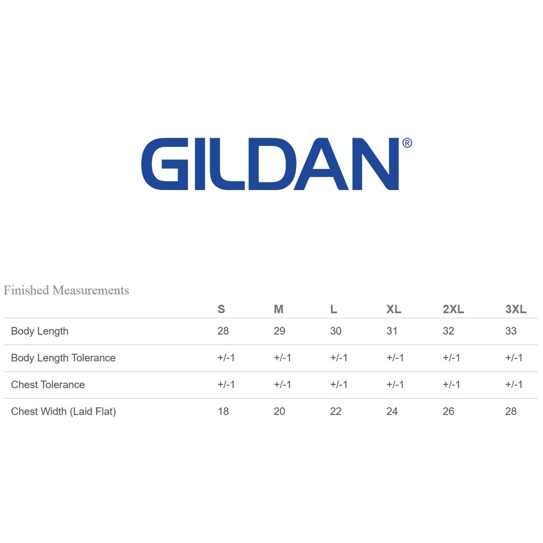 2 Pack Of Gildan G420 Adult Aqua FX Freshcare Tee Performance Stylish T-Shirt gallery