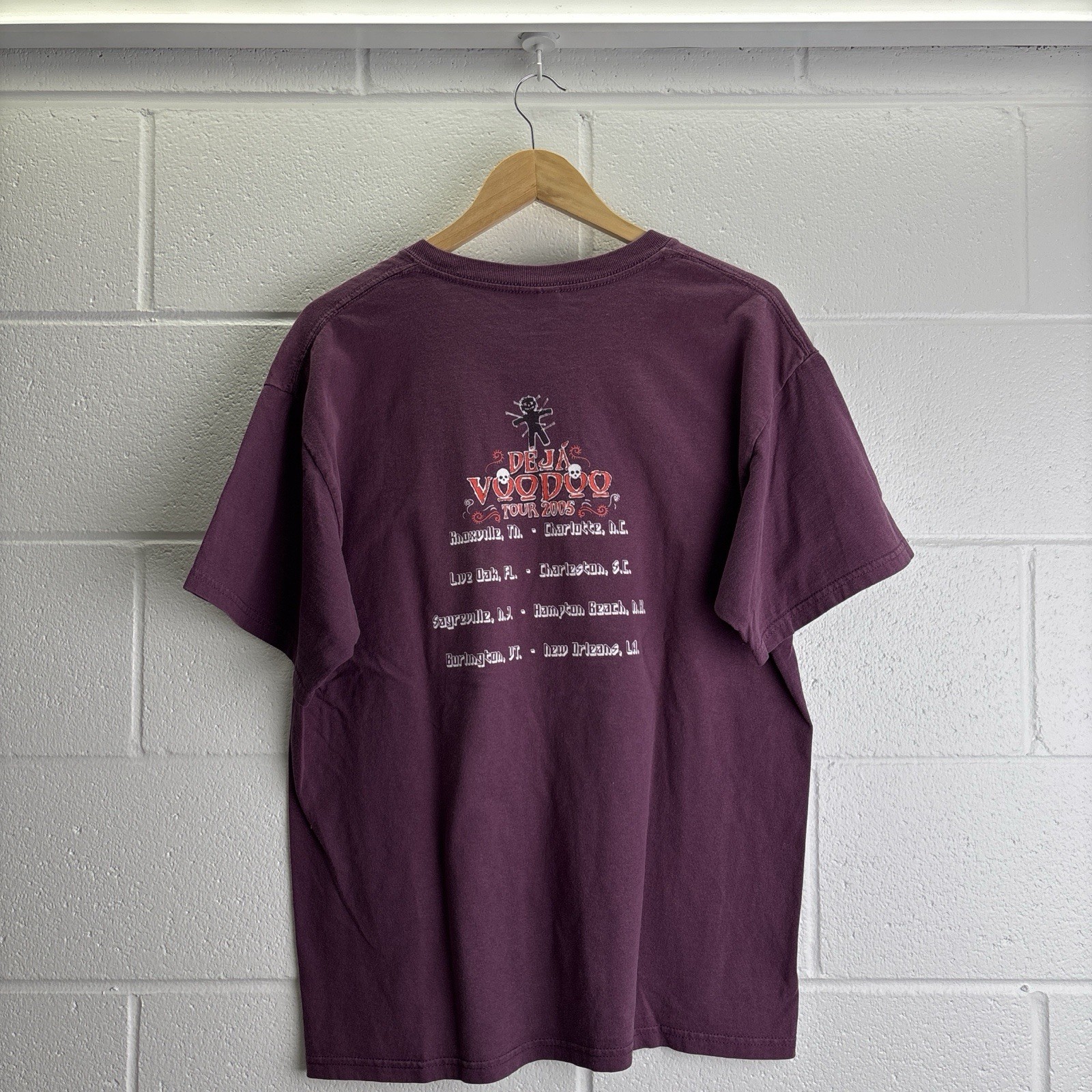 Vintage Y2K Gov't Mule band t-shirt from their 2005 Deja Voodoo Tour size L gallery