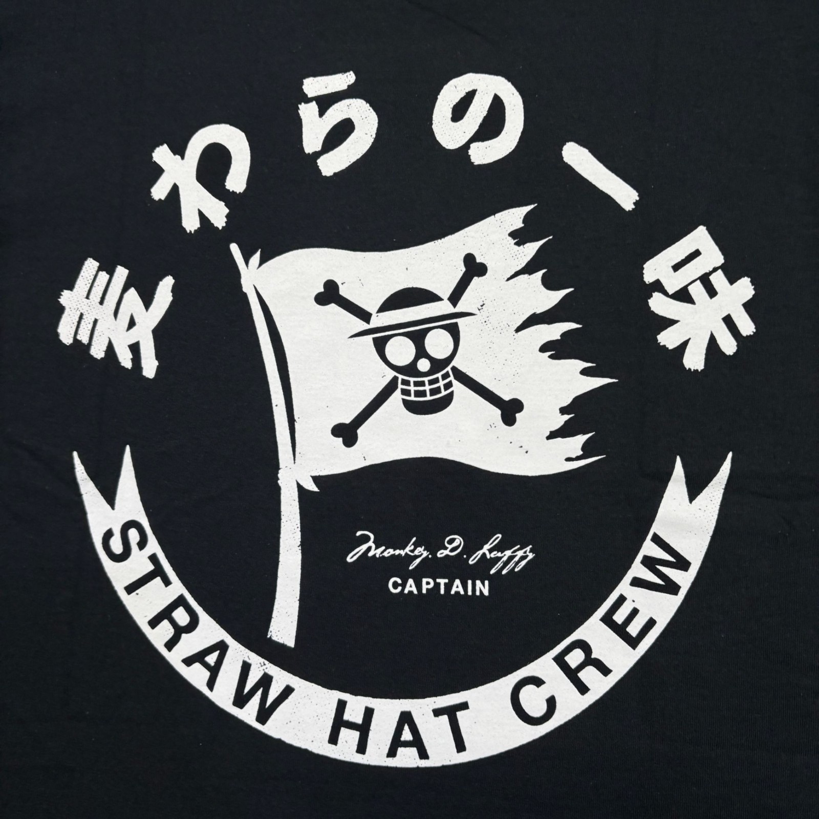 The Straw Hat Crew Cpt Monkey D Luffy One Piece Anime Tee 2X gallery