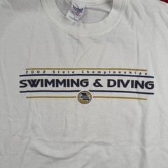 Gildan 2002 State Championships Swimming & Diving T-Shirt Men’s XL White Cotton
