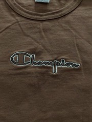 CHAMPION T-Shirt Men’s Size Medium Cactus Rainbow Graphic Brown Embroidered Logo