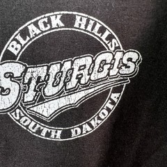 Sturgis Black Hills SD Eagle Destination T-Shirt Adult M Brown