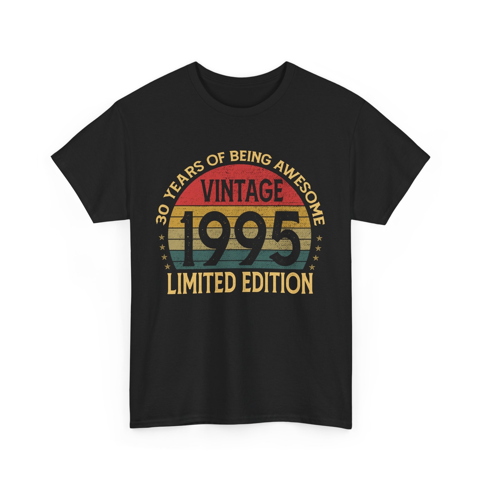 Vintage 1995 Limited Edition 30-Year-Old Gifts 30th Birthday T-Shirt
