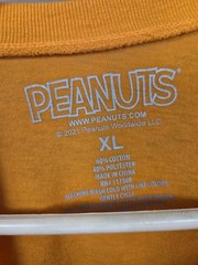 Peanuts Snoopy Fall/ Halloween Shirt Size XL (Runs Small) Great Condition