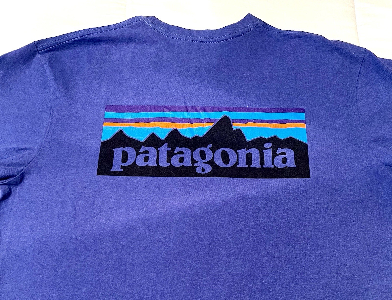 Patagonia Men's Casual Crew Neck T-Shirt Short Sleeve, Size Medium , Blue gallery