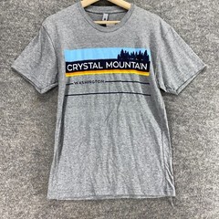 New Next Level T-Shirt Men S Gray Striped Crew Neck Short Sleeve Pullover