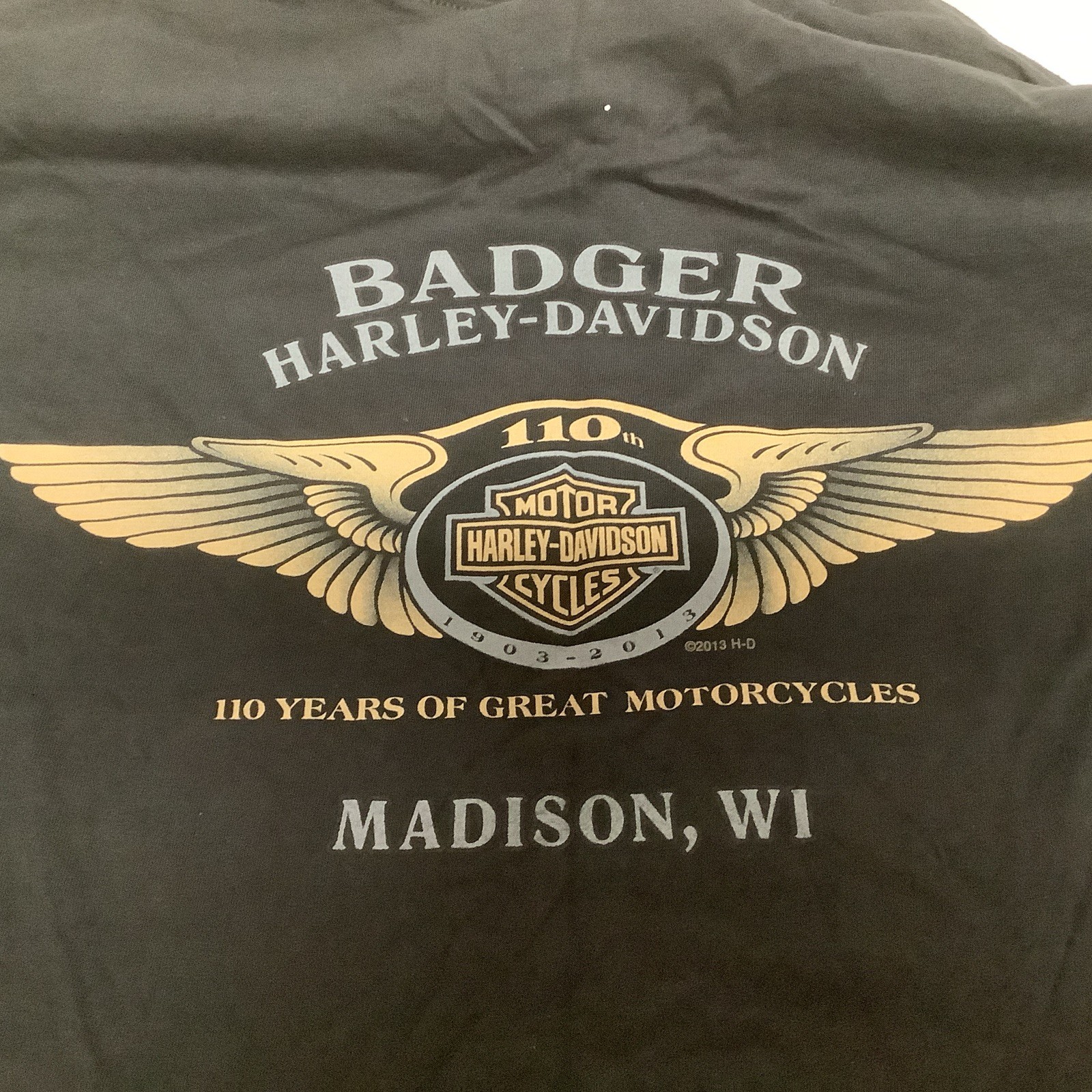 Harley Davidson Motorcycles 110th Anniversary T-shirt size Men's Large gallery
