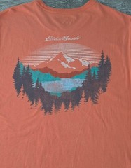 Men’s Eddie Bauer orange short-sleeve cotton graphic T-shirt (XL)
