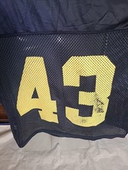 Vintage 90’s Y2K Alleson Athletic Mesh #43 Football Jersey Men’s Size Large/XL