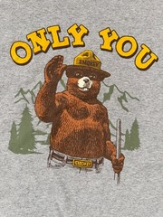 Smokey The Bear ONLY YOU Forest Fire Prevention T-Shirt Gray Short Sleeve 2XL