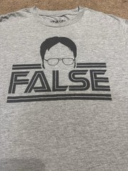 The Office T-Shirt Men Medium Gray Graphic Print Ripple Junction…#6743