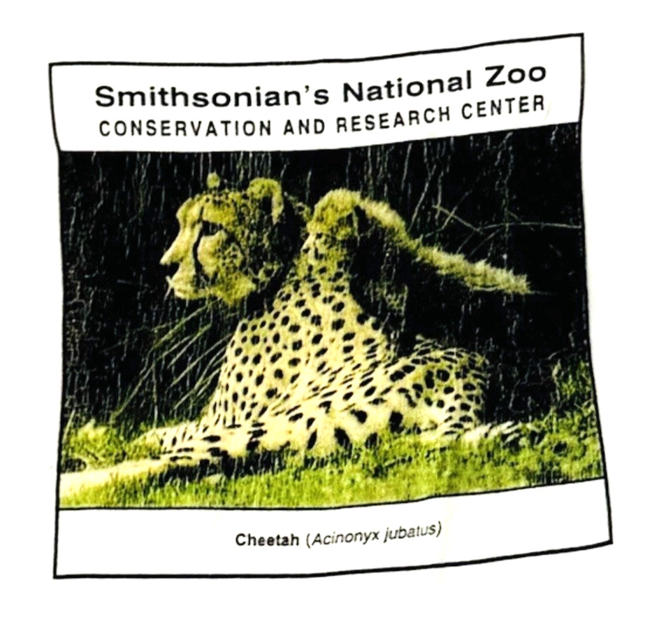 Smithsonian National Zoo Wildlife Cheetah T Shirt White Animal Graphic Tee XL gallery