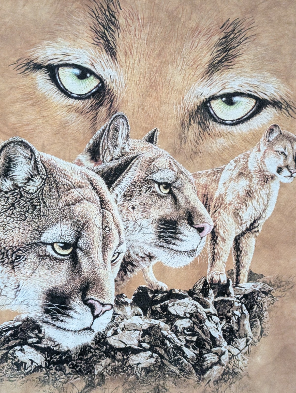 The Mountain Mens T-shirt Brown "Find 10 Cougars" Retired Logo 2XL #6103 gallery