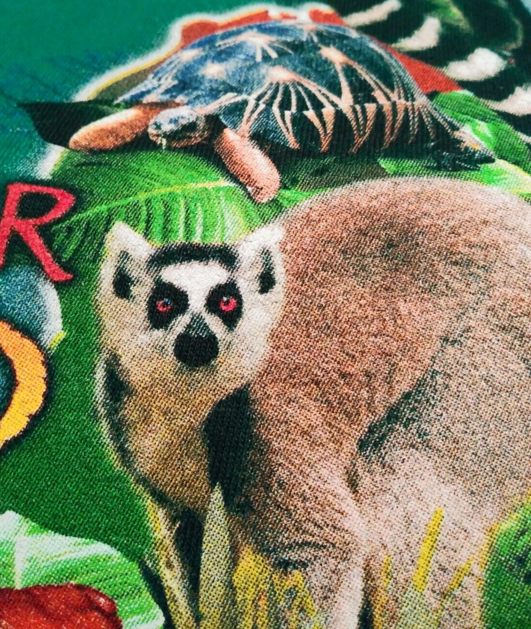 Madagascar Rainforest Forever Wild Forever Free Green T-Shirt Men's Large gallery