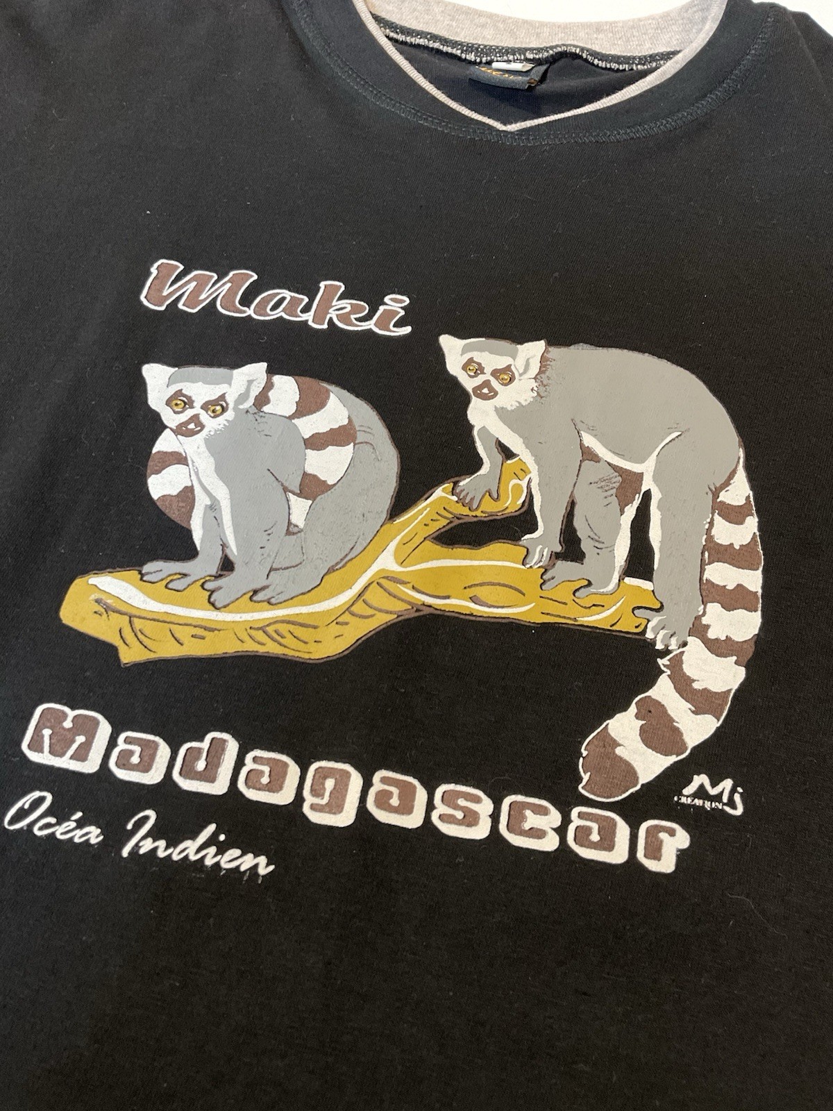 Vintage Madagascar Lemurs T Shirt Sz M Tourist Tee Funny Y2K gallery