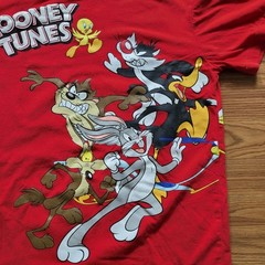 Looney Tunes All Over Print Small Graphic Tweety Bugs Bunny Sylvester Taz