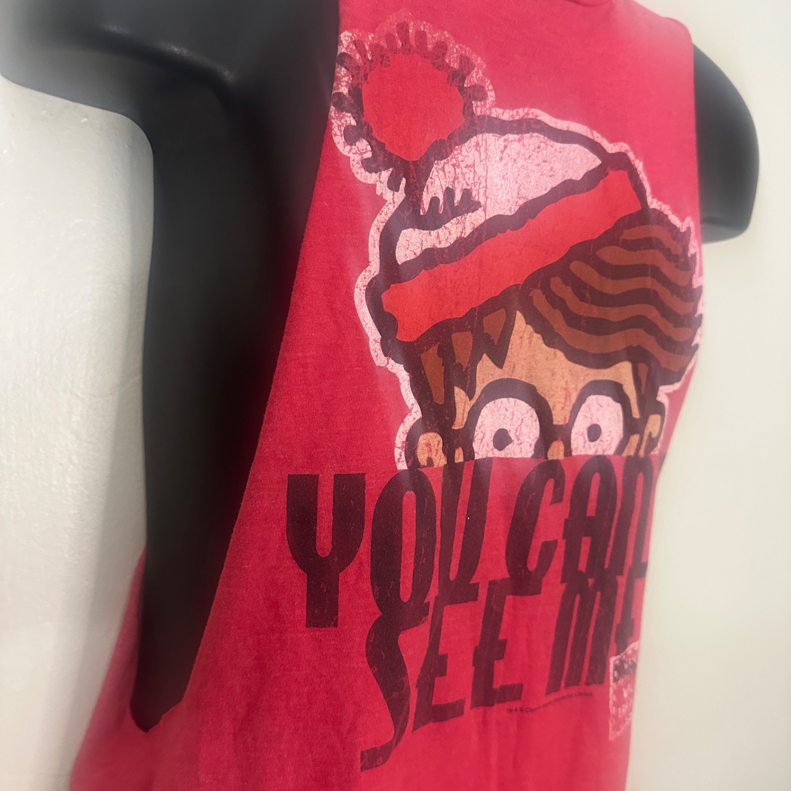 You Can't See Me Waldo Shredder T Small Gently worn vintage 50% cotton/50% poly gallery