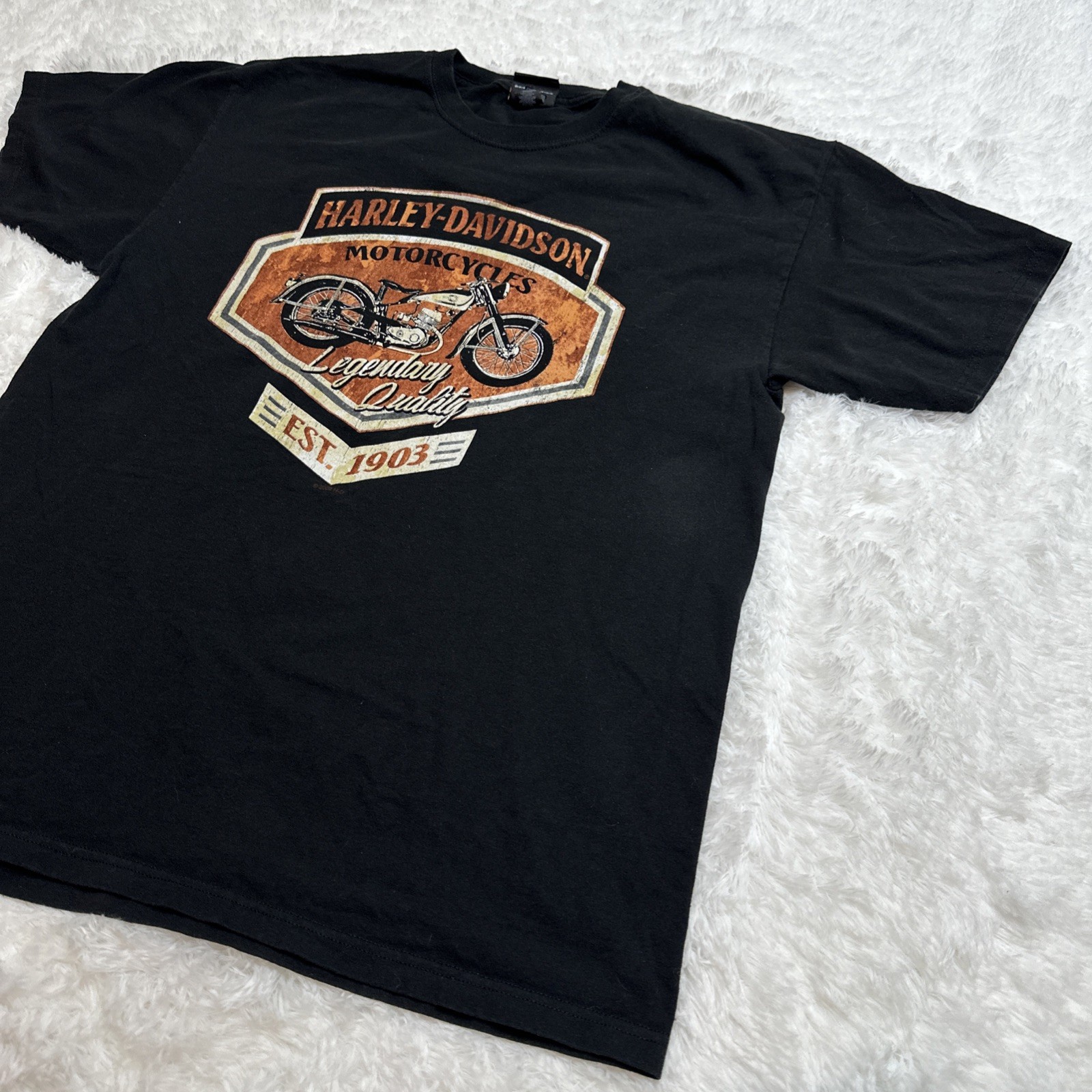 Harley Davidson Motorcycles Sarana Bali Indonesia Mens T-Shirt Large Black gallery