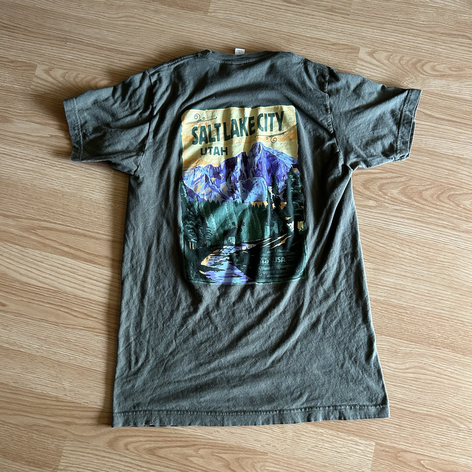 Tultex 202 Salt Lake Utah Graphic Short Sleeve Tee Medium gallery