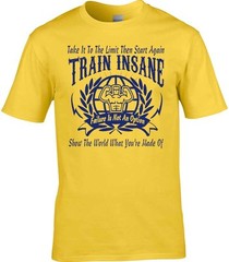 Motivational T-Shirt Gym Exercise Train Insane Keep Fit Work Out Muscle Man