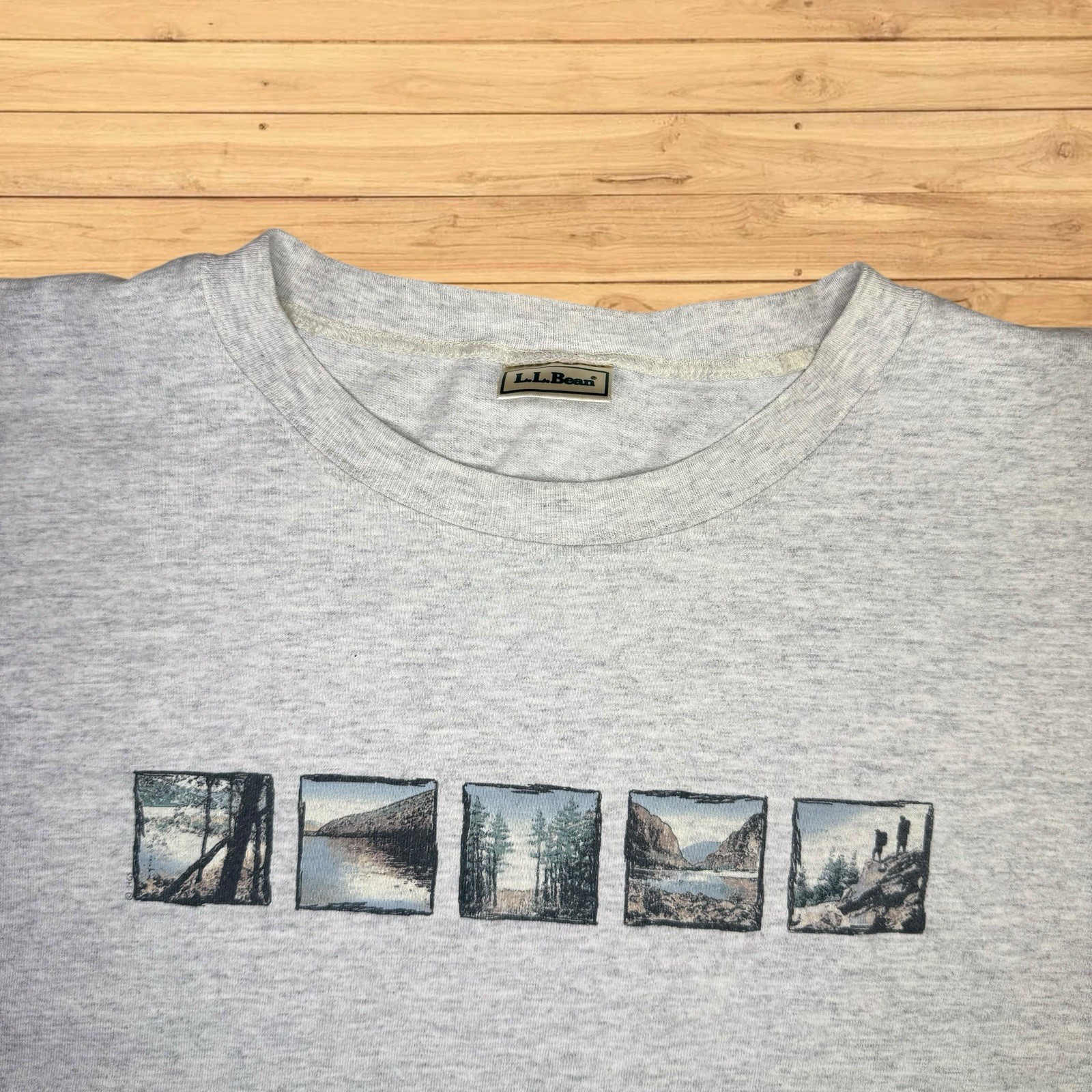 Vintage LL Bean Box Logo T Shirt Mens Nature Graphic 90s gallery