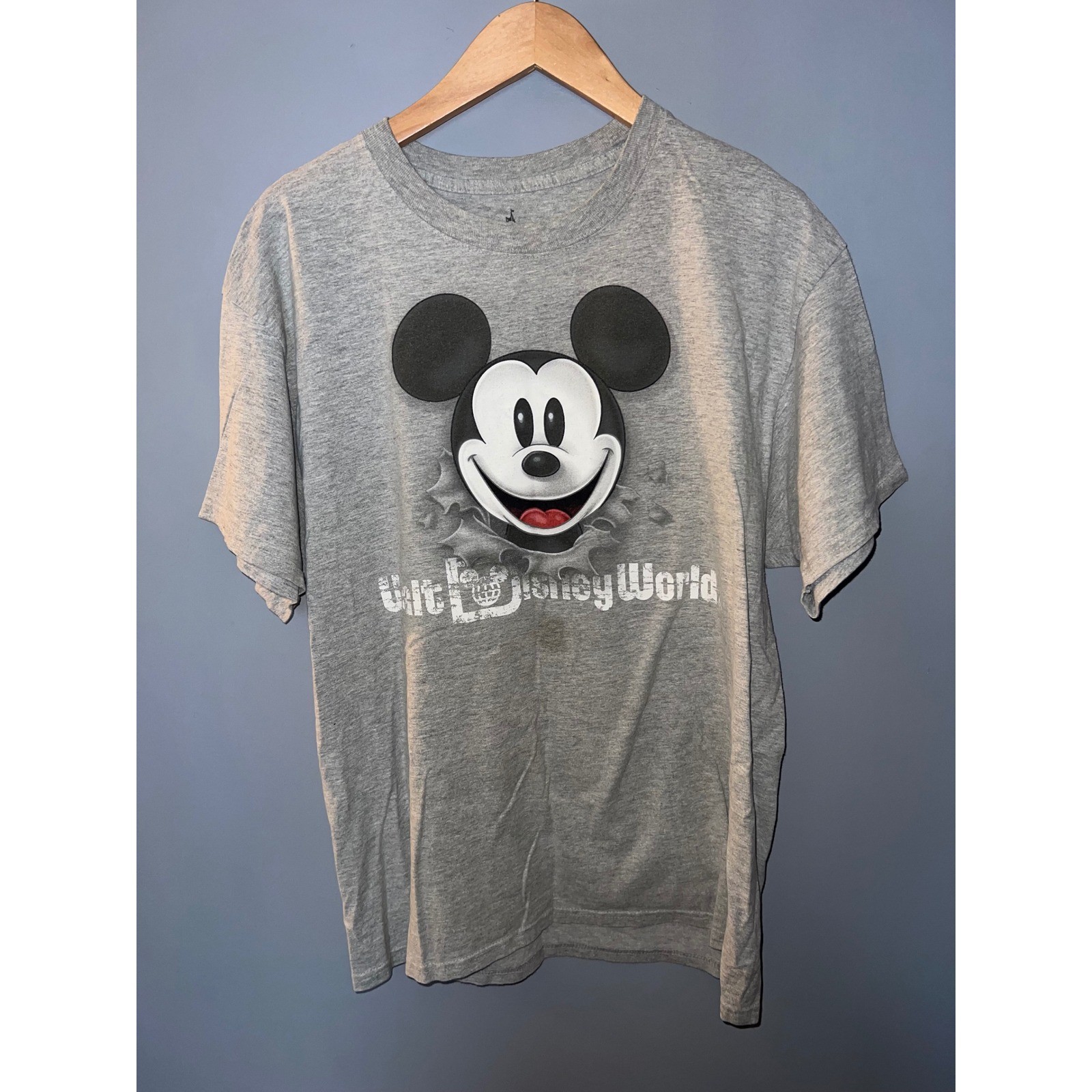 Walt Disney World Mickey Mouse Double Sided Graphic T-Shirt Gray Large Hanes gallery