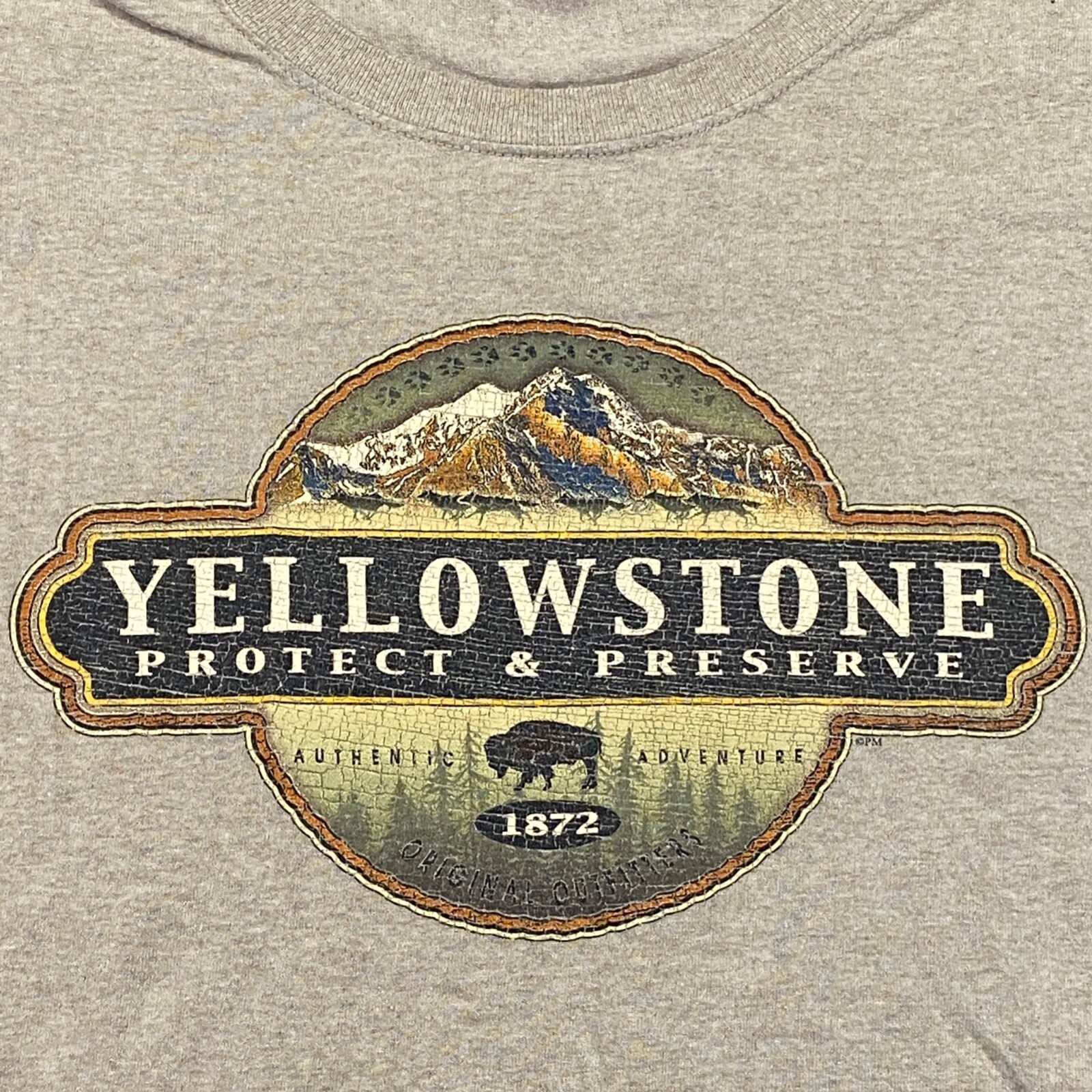 Yellowstone Park Shirt Mens Small Beige Eco Mountain Graphic Tee Bison Wolf Y2K gallery
