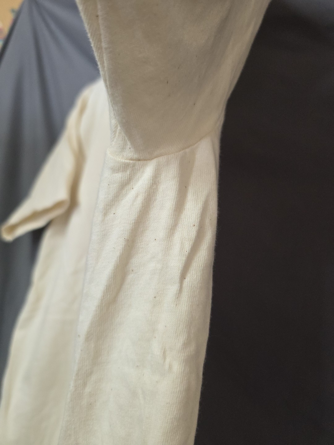Hanes 1990s Santa Clara Vanguard Next Generation Large Cream Color gallery