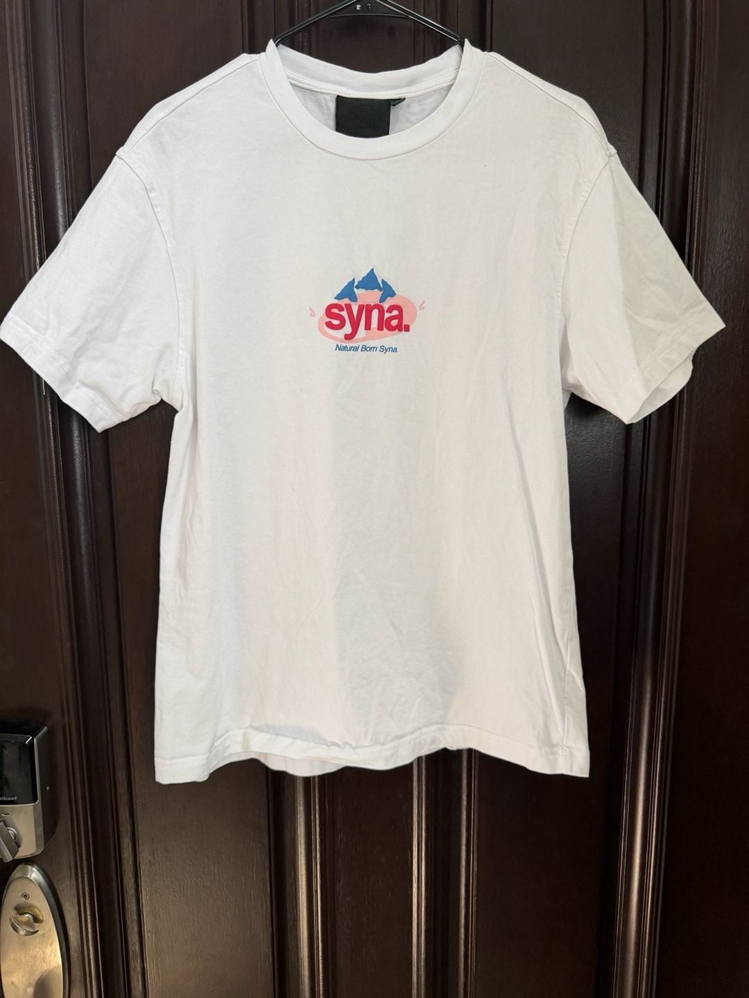 Syna World H2O Evian Logo T-Shirt gallery