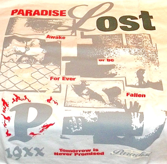 NWOT PARADISE LOST AWAKE OR BE FOREVER FALLEN LARGE T SHIRT – NEW & FREE SHIP