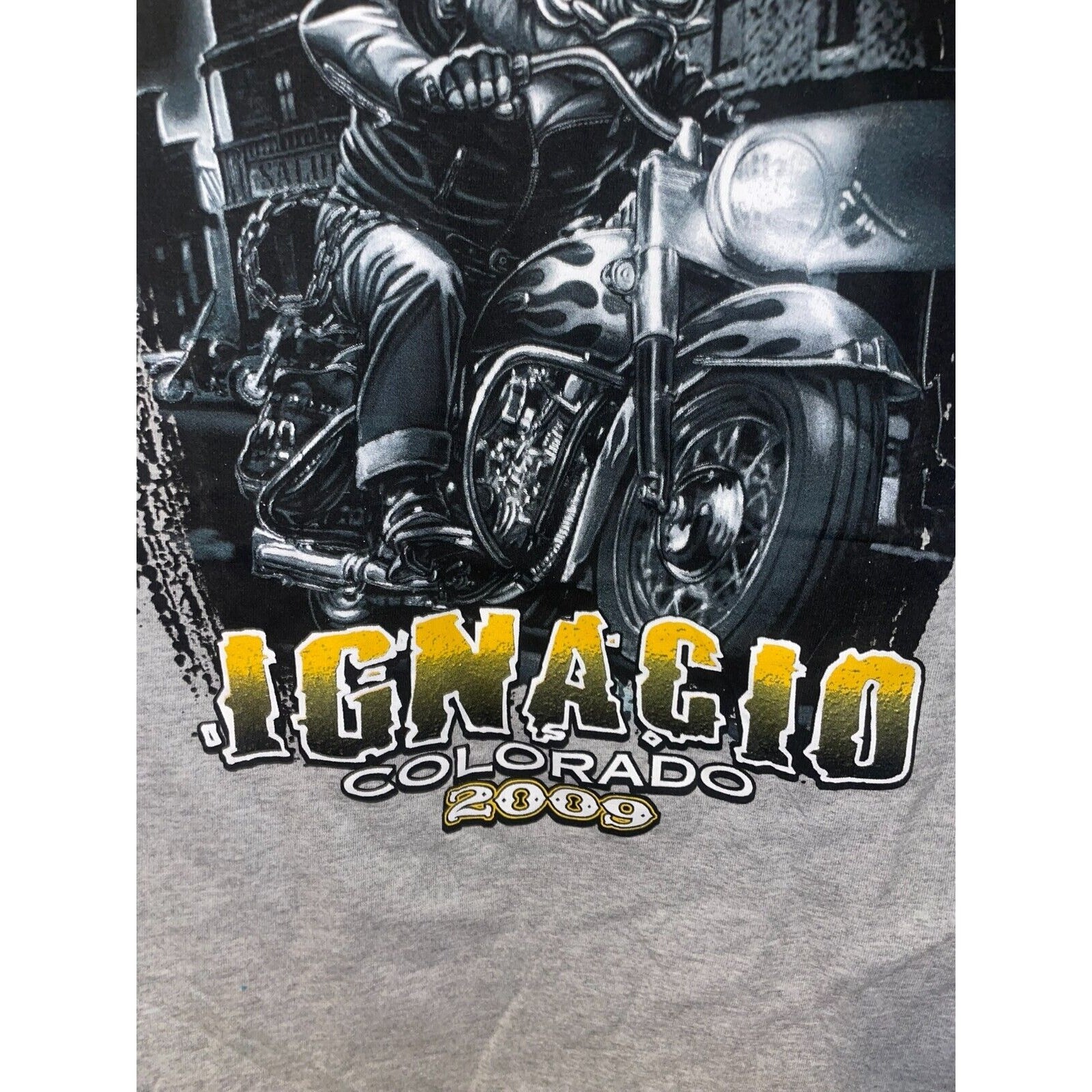 2009 Gildan Ignacio CO Colorado Hog Biker Graphic Gray Shirt Tee 2000s M Medium gallery