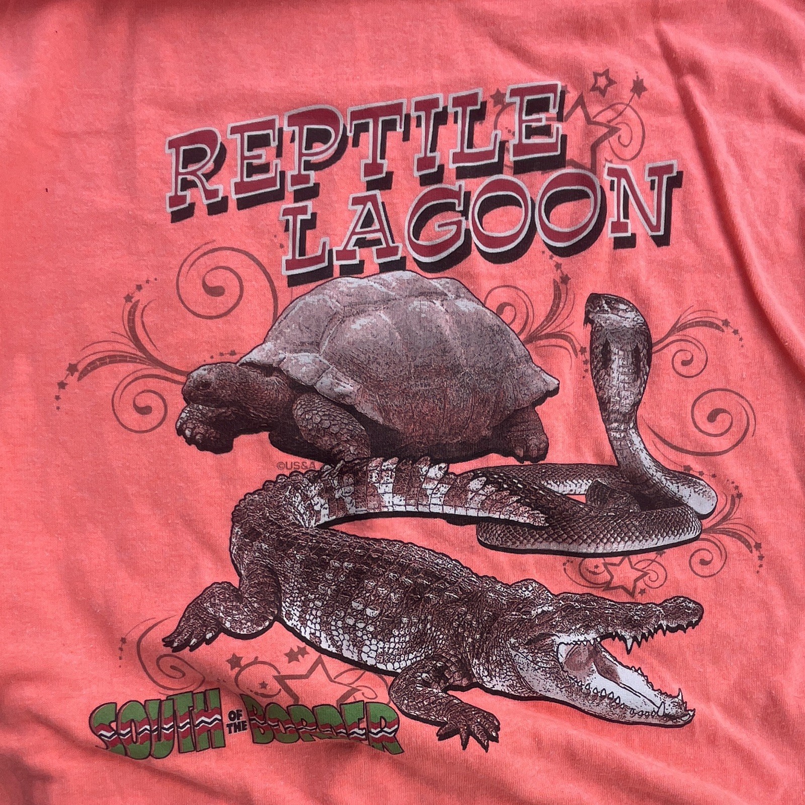 Vintage Weight Men's Graphic Tee Lot UAW-GM Fitness/Reptile M XL made in USA gallery