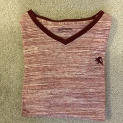 Express Men’s Soft Wash Lightweight Flex Stretch Pink Red Trim Short Sleeve S