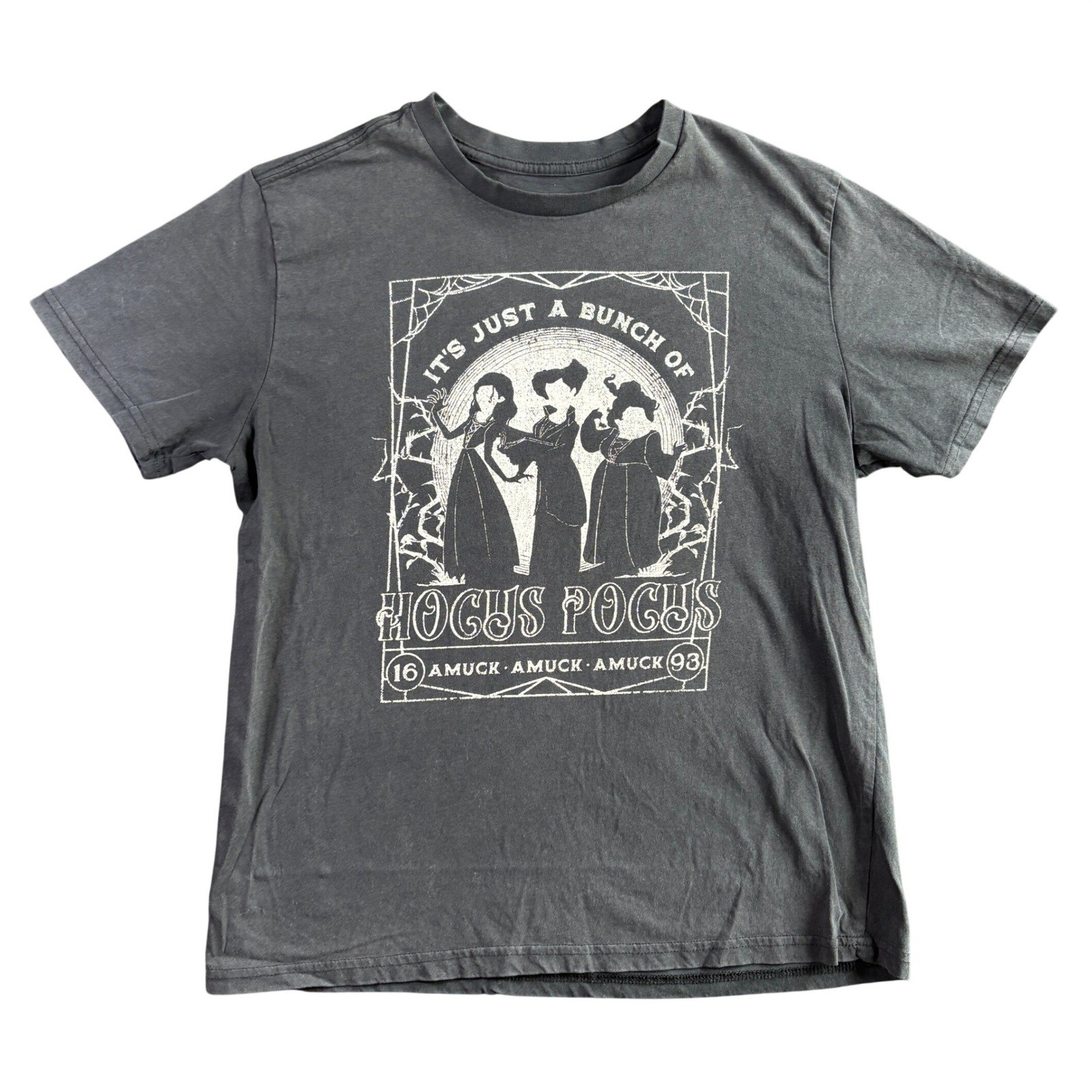 Disney Hocus Pocus Sanderson Sisters Graphic T-Shirt Charcoal Gray Unisex Medium gallery