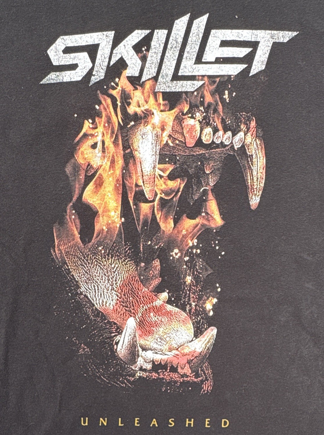 Delta Pro Weight XL Black Skillet Unleashed Graphic Print Crew Neck T-Shirt gallery