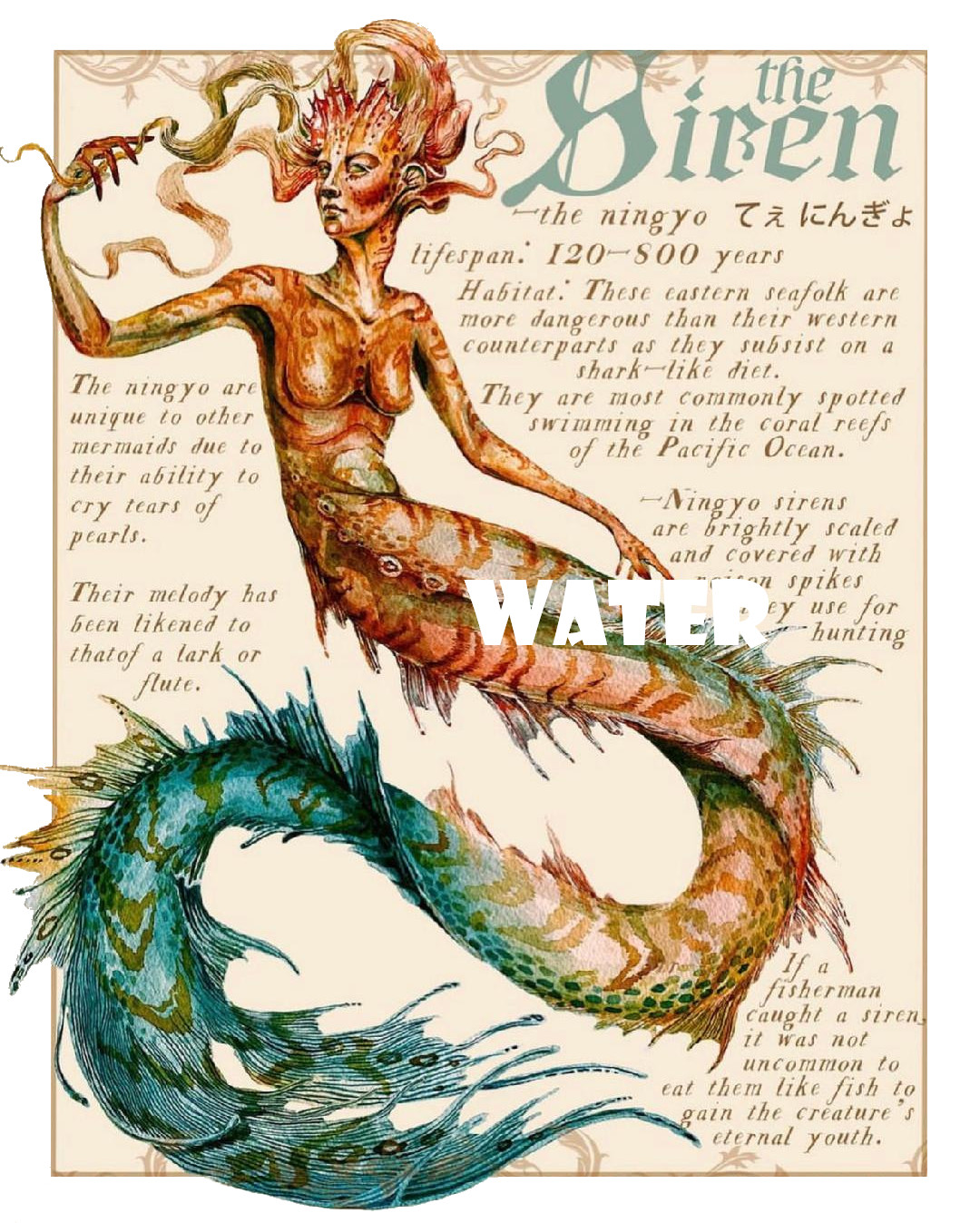 The Siren, Greek Gods, Heros, Art, Printed T-Shirt gallery