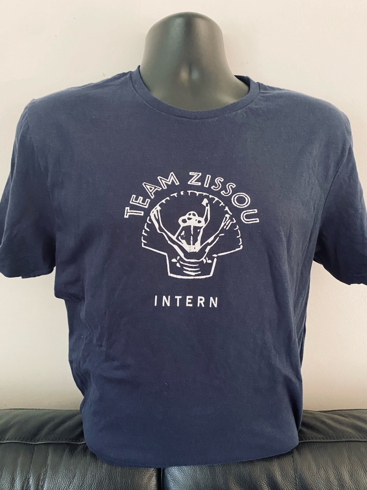LIFE AQUATIC - TEAM ZISSOU - INTERN T SHIRT - wes anderson ORIGINAL SCREEN PRINT gallery