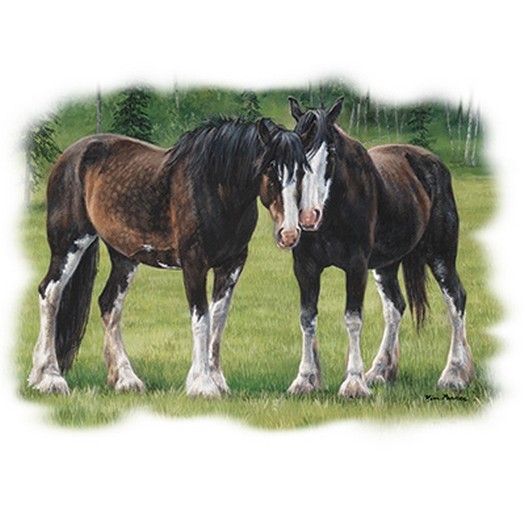 A Special Bond - Horses T Shirt You Choose Style, Size, Color 10706 gallery
